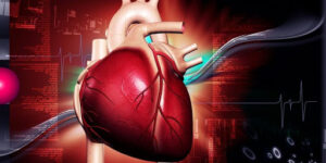 Faktor Pemicu Penyebab Jantung Bengkak